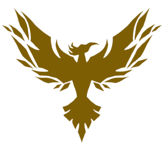 Nydo logo